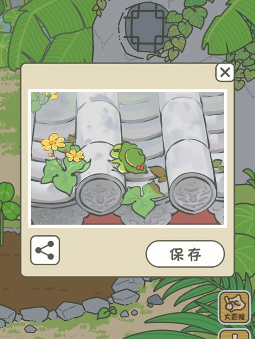 旅行青蛙木碗的奇妙之旅：木碗作用全面解析