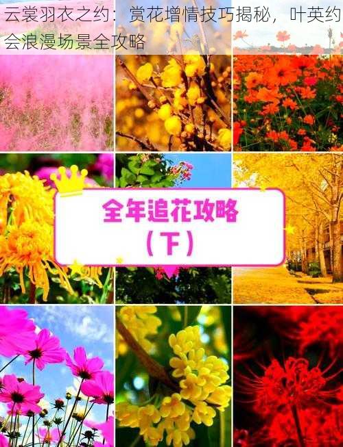 云裳羽衣之约:赏花增情技巧揭秘,叶英约会浪漫场景全攻略