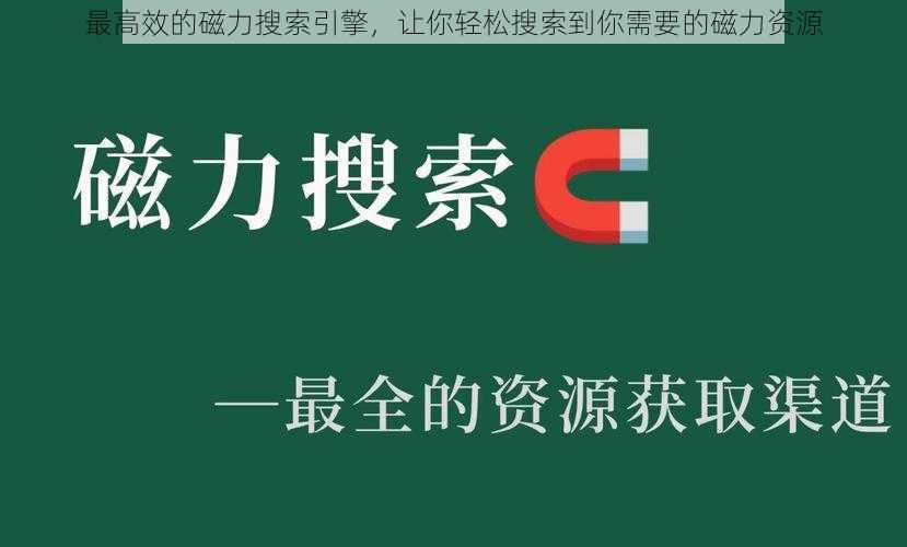 最高效的磁力搜索引擎,让你轻松搜索到你需要的磁力资源